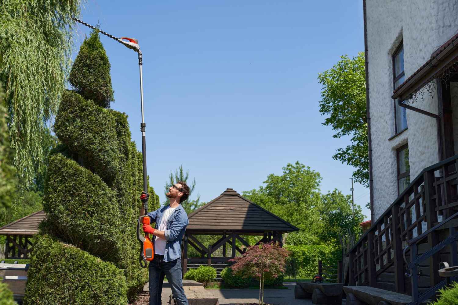 Residential Tree Removal in Long Branch, NJ